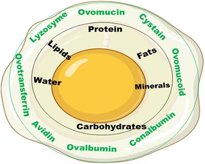 Natural Products of Plants and Animal Origin Improve Albumen Quality of Chicken Eggs